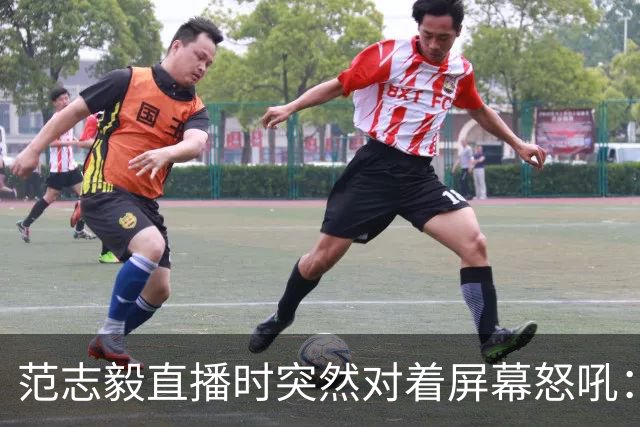 范志毅直播时突然对着屏幕怒吼：你们这帮人懂个球！董路带的这帮12岁孩子，在意大利踢了7场，全胜夺冠，点球干掉英超埃弗顿梯队，创造了亚洲球队的历史。回国后，等来的不是鲜花，而是铺天盖地的“业余炒作”、“博热度”。有人扒出董路九年自掏腰包5800万搞青训，不收钱、不签合同，就带孩子去海外踢90...